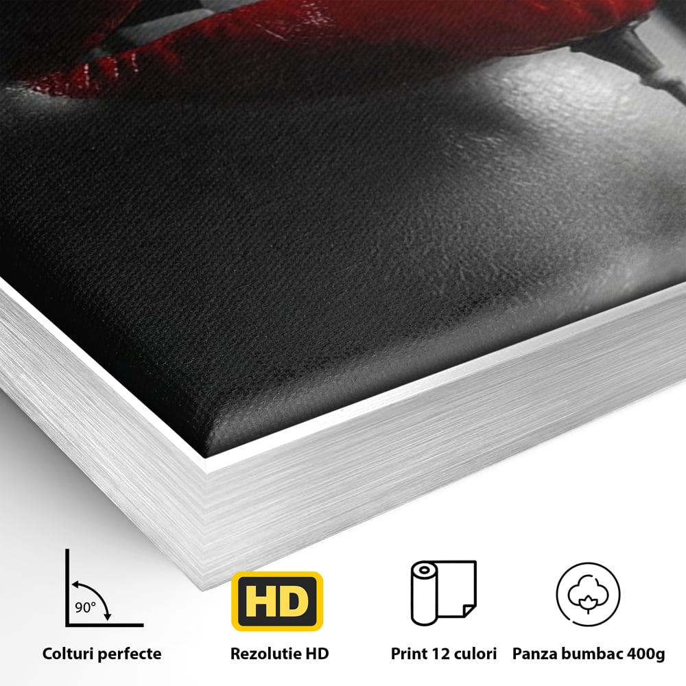 Detaliu al suprafetei: tablou canvas cu buze si mac, in rama de aluminiu argintiu